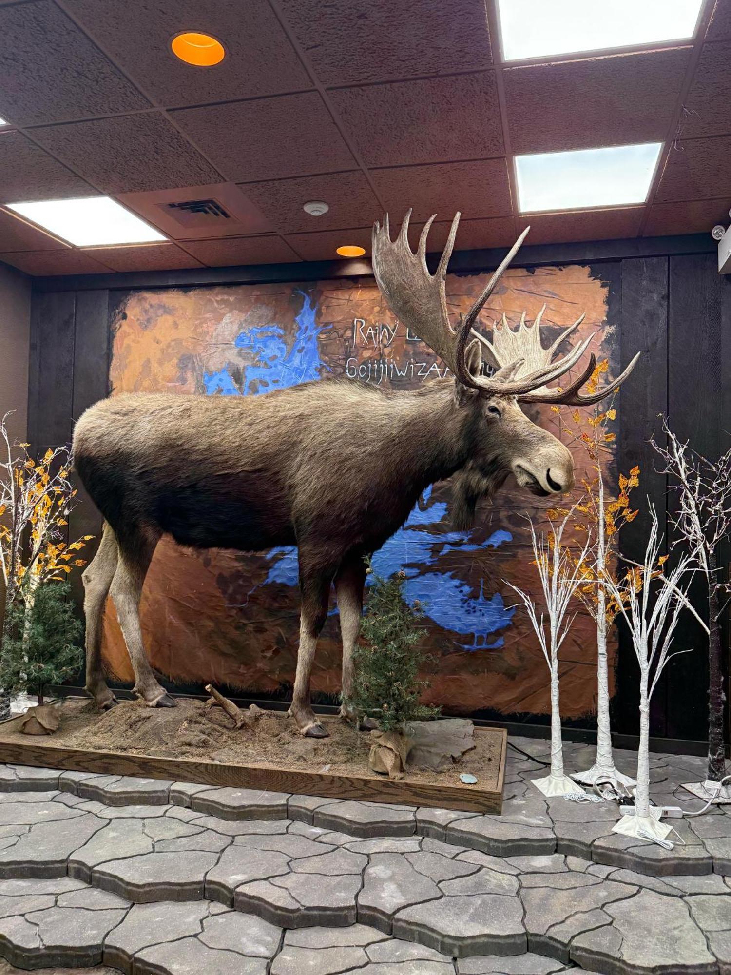 Copper River Inn Форт Франсис Екстериор снимка